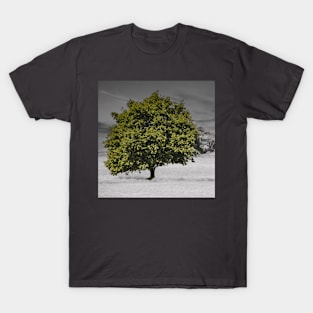 Lonely Warley Tree 02 T-Shirt